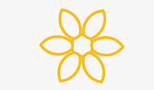 A full-stack digital mental health platform for children with special needs - Daffodil Health