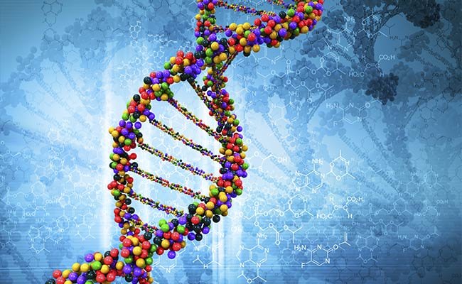 MindBio Therapeutics Announces Major Genetic Discovery in Microdosing Research