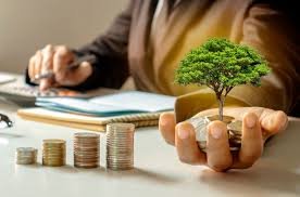 SeaBeLife raises €1.2M ($1.28M) from iXLife fund and historical investors