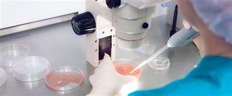 SpOvum Technologies introduces lab management system to transform IVF workflows