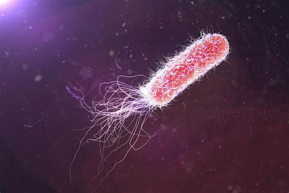 SCIINV Biosciences and Microbira to launch cutting-edge digital diagnostics for combatting superbugs in India