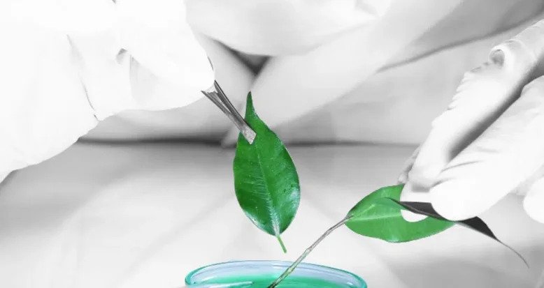 Singapore-based startup Allozymes raises $15 M paving way for new partnerships in pharma and life science industry